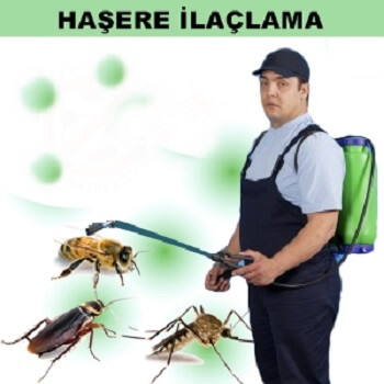 Tercan Böcek İlaçlama